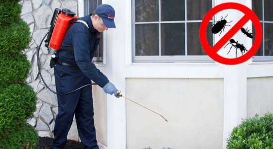 Kazımkarabekir Böcek İlaçlama böcek ilaçlama ve haşere kontrolü — ilaclama-tr.com